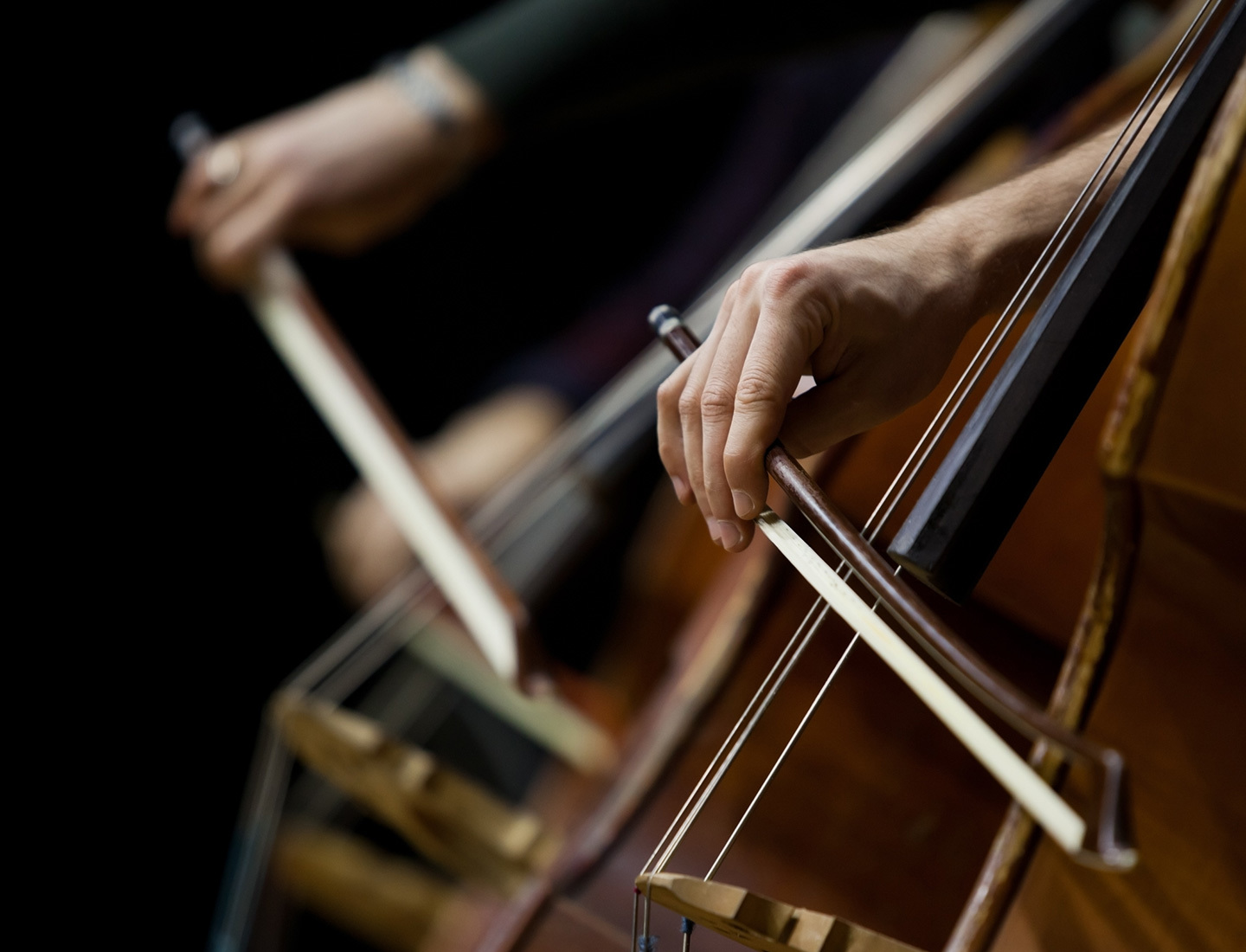 A closeup of two cellist's hands drawing their bows across the instrument.